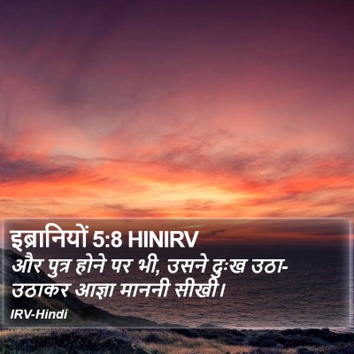 इब्रानियों 5:8 HINIRV Bible Verse Image
