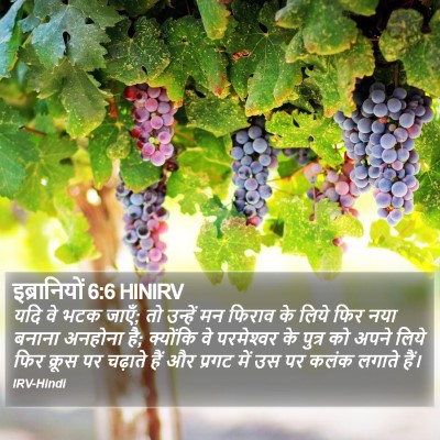 इब्रानियों 6:6 HINIRV Bible Verse Image