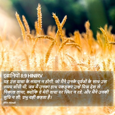 इब्रानियों 8:9 HINIRV Bible Verse Image