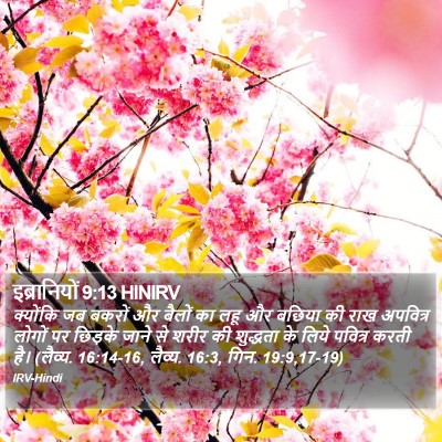 इब्रानियों 9:13 HINIRV Bible Verse Image