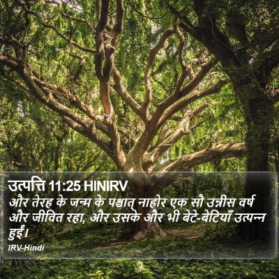 उत्पत्ति 11:25 HINIRV Bible Verse Image