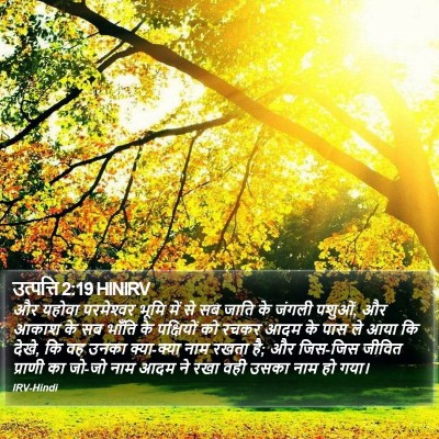 उत्पत्ति 2:19 HINIRV Bible Verse Image