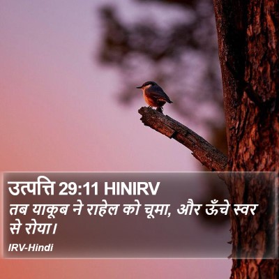 उत्पत्ति 29:11 HINIRV Bible Verse Image