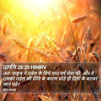 उत्पत्ति 29:20 HINIRV Bible Verse Image