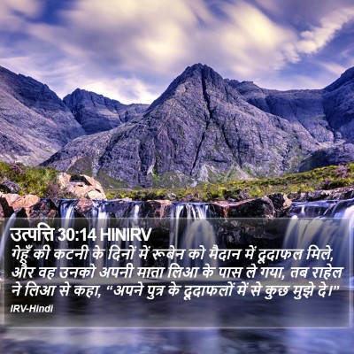 उत्पत्ति 30:14 HINIRV Bible Verse Image