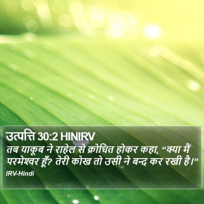 उत्पत्ति 30:2 HINIRV Bible Verse Image
