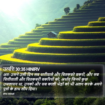 उत्पत्ति 30:35 HINIRV Bible Verse Image