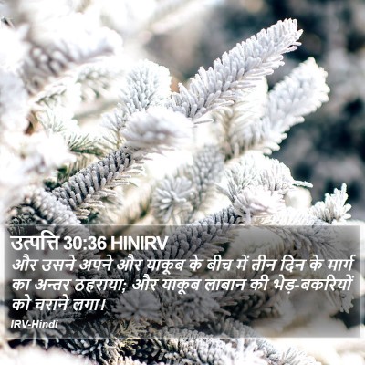 उत्पत्ति 30:36 HINIRV Bible Verse Image