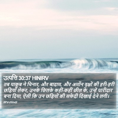 उत्पत्ति 30:37 HINIRV Bible Verse Image