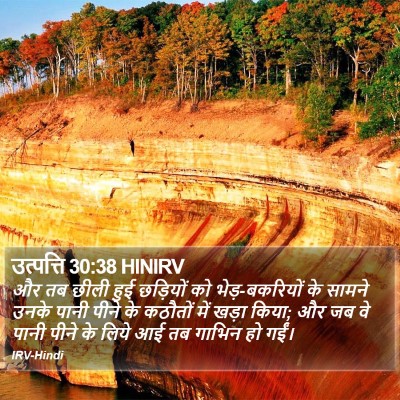 उत्पत्ति 30:38 HINIRV Bible Verse Image