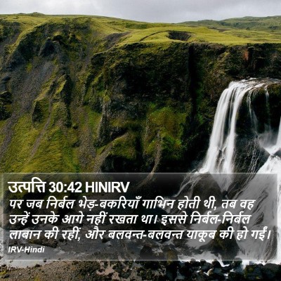 उत्पत्ति 30:42 HINIRV Bible Verse Image