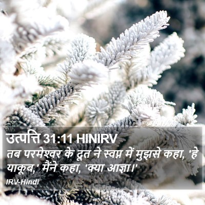 उत्पत्ति 31:11 HINIRV Bible Verse Image