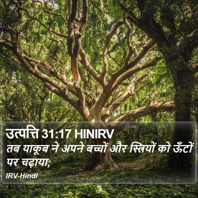उत्पत्ति 31:17 HINIRV Bible Verse Image