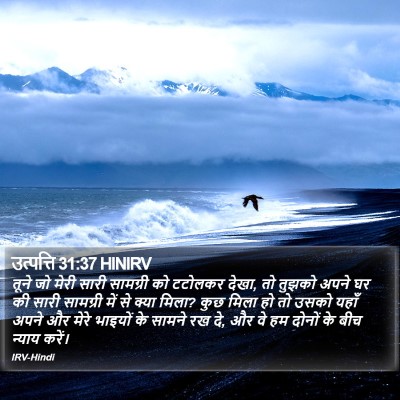 उत्पत्ति 31:37 HINIRV Bible Verse Image