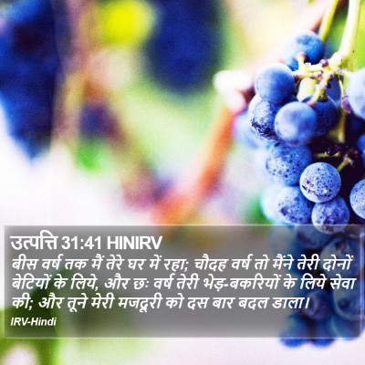 उत्पत्ति 31:41 HINIRV Bible Verse Image