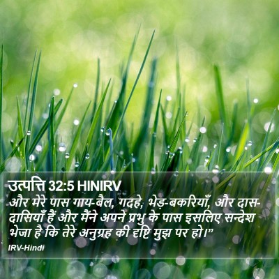 उत्पत्ति 32:5 HINIRV Bible Verse Image