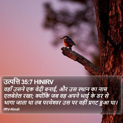 उत्पत्ति 35:7 HINIRV Bible Verse Image