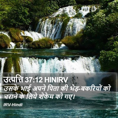 उत्पत्ति 37:12 HINIRV Bible Verse Image