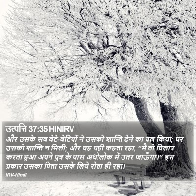 उत्पत्ति 37:35 HINIRV Bible Verse Image