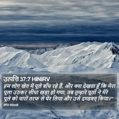 उत्पत्ति 37:7 HINIRV Bible Verse Image