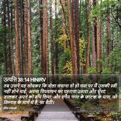 उत्पत्ति 38:14 HINIRV Bible Verse Image