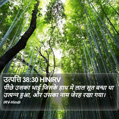 उत्पत्ति 38:30 HINIRV Bible Verse Image