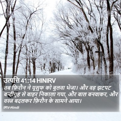 उत्पत्ति 41:14 HINIRV Bible Verse Image