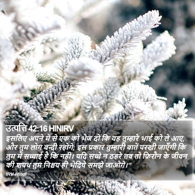 उत्पत्ति 42:16 HINIRV Bible Verse Image