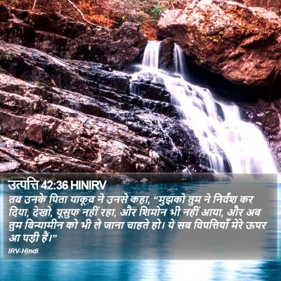 उत्पत्ति 42:36 HINIRV Bible Verse Image