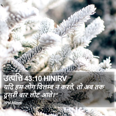 उत्पत्ति 43:10 HINIRV Bible Verse Image