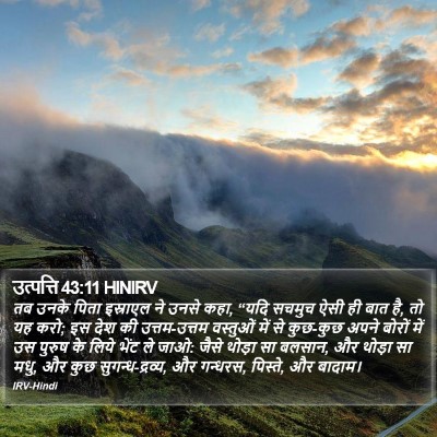 उत्पत्ति 43:11 HINIRV Bible Verse Image