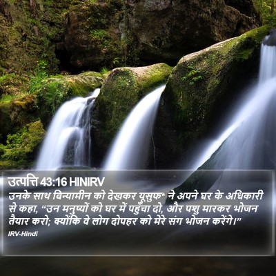 उत्पत्ति 43:16 HINIRV Bible Verse Image