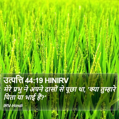 उत्पत्ति 44:19 HINIRV Bible Verse Image