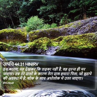 उत्पत्ति 44:31 HINIRV Bible Verse Image