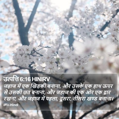 उत्पत्ति 6:16 HINIRV Bible Verse Image
