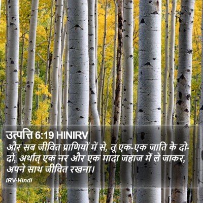 उत्पत्ति 6:19 HINIRV Bible Verse Image