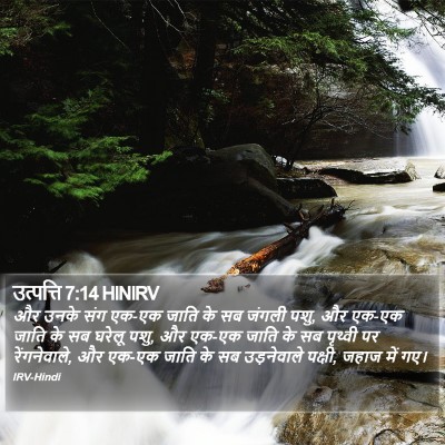 उत्पत्ति 7:14 HINIRV Bible Verse Image