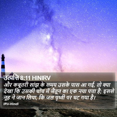 उत्पत्ति 8:11 HINIRV Bible Verse Image