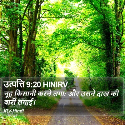 उत्पत्ति 9:20 HINIRV Bible Verse Image