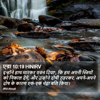 एज्रा 10:19 HINIRV Bible Verse Image