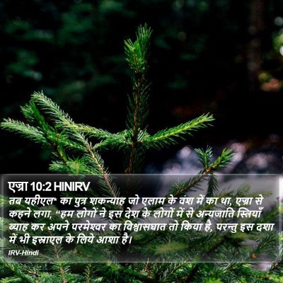 एज्रा 10:2 HINIRV Bible Verse Image