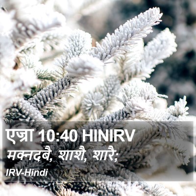 एज्रा 10:40 HINIRV Bible Verse Image