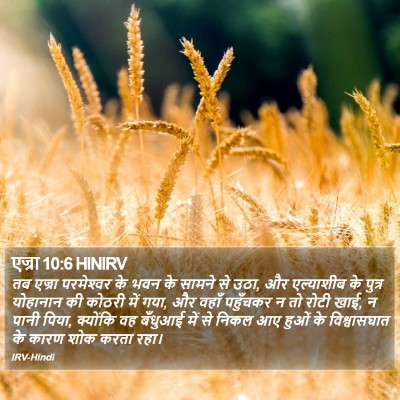 एज्रा 10:6 HINIRV Bible Verse Image