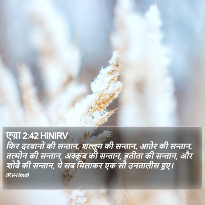 एज्रा 2:42 HINIRV Bible Verse Image