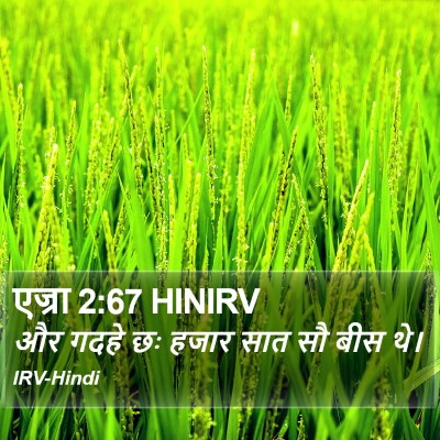 एज्रा 2:67 HINIRV Bible Verse Image