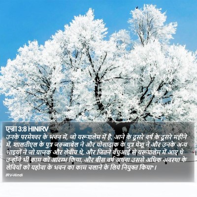 एज्रा 3:8 HINIRV Bible Verse Image