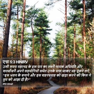 एज्रा 5:3 HINIRV Bible Verse Image