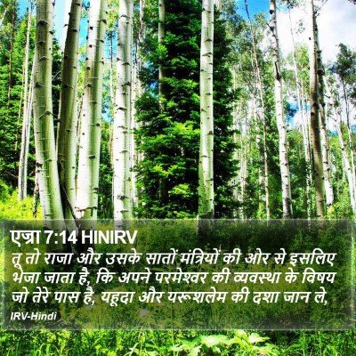एज्रा 7:14 HINIRV Bible Verse Image