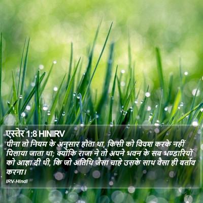 एस्तेर 1:8 HINIRV Bible Verse Image