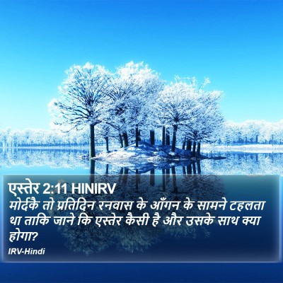 एस्तेर 2:11 HINIRV Bible Verse Image